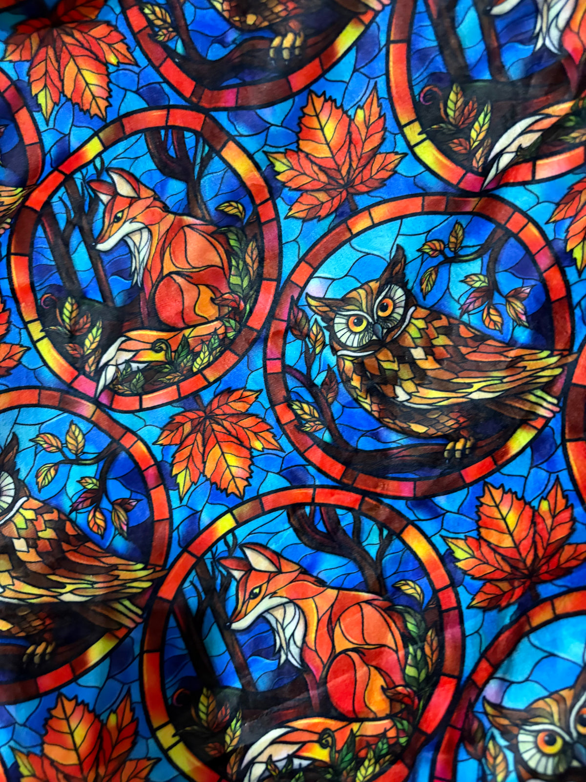 Slot- Woodland Glass (Up To 11-12)