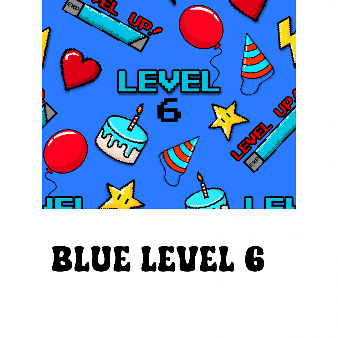 Level 6 Blue