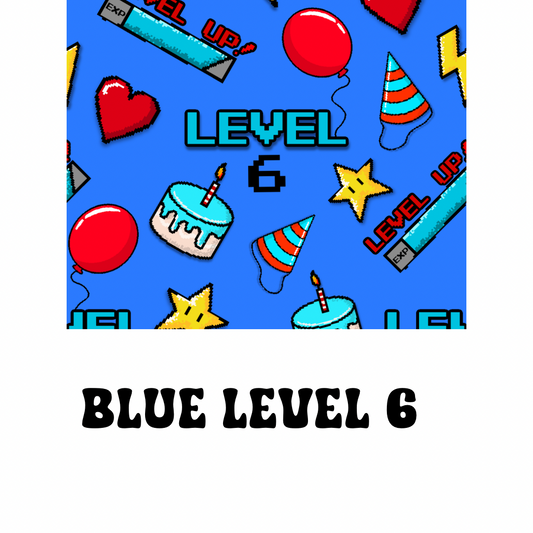 Level 6 Blue