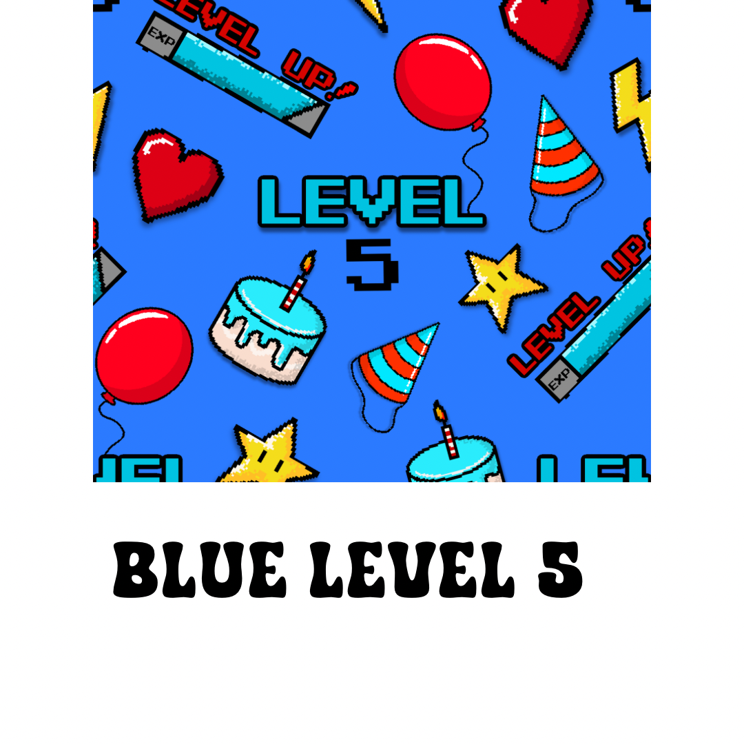 Level 5 Blue