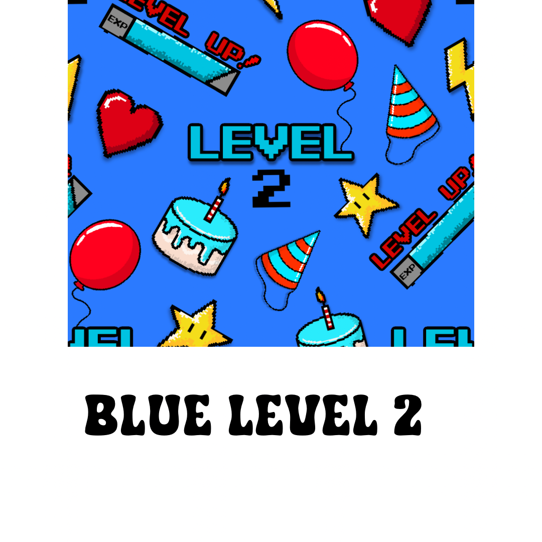 Level 2 Blue
