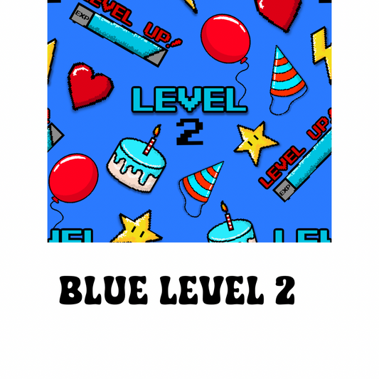 Level 2 Blue