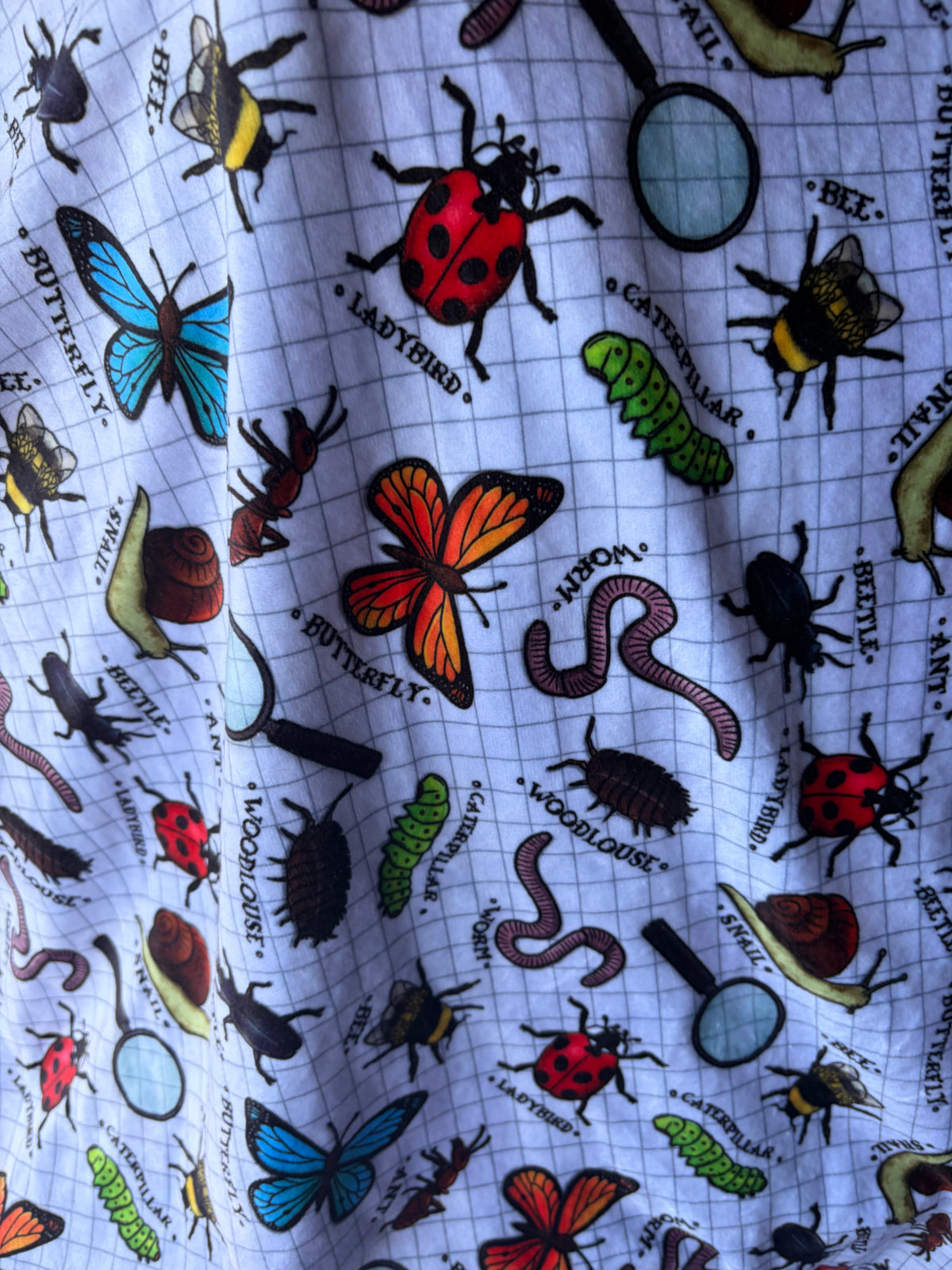 Slot- Minibeasts (Up To 9/10)
