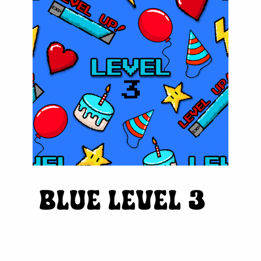 Level 3 Blue