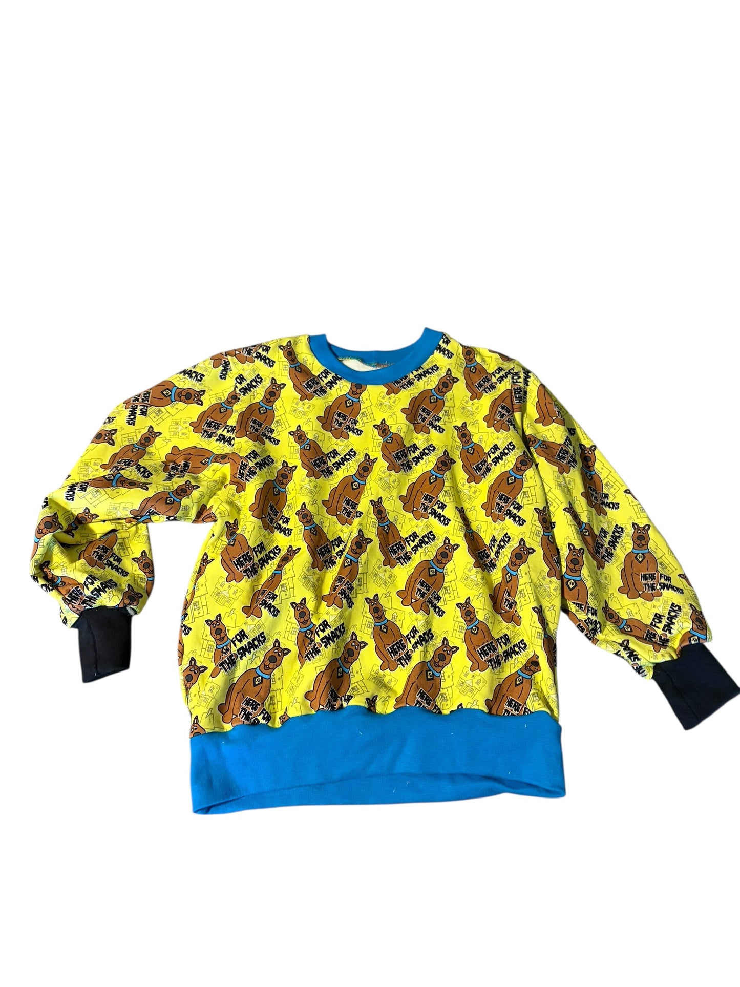 5-6 Scoobs Sweater