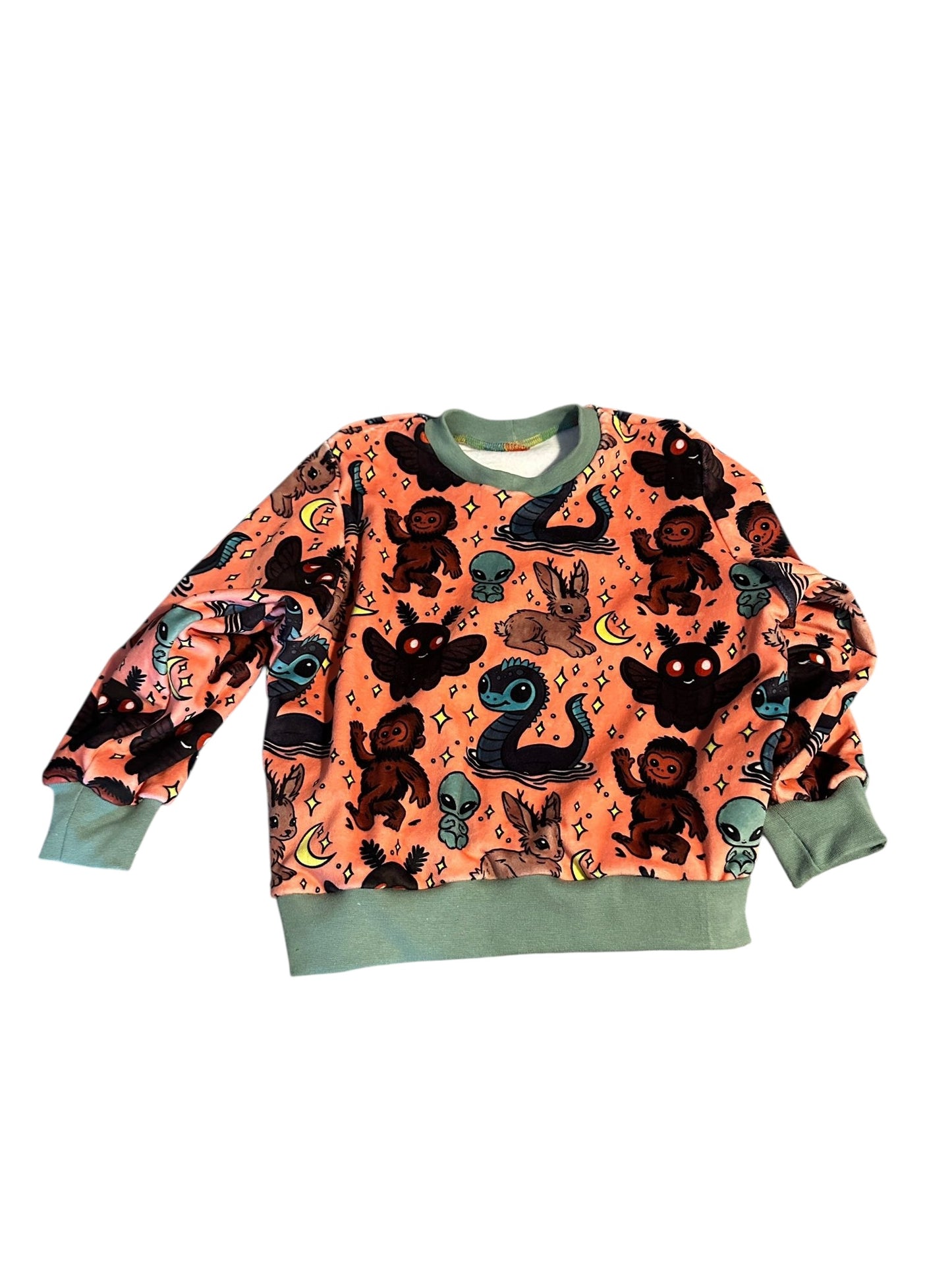 3-4 Cute Cryptids Sweater