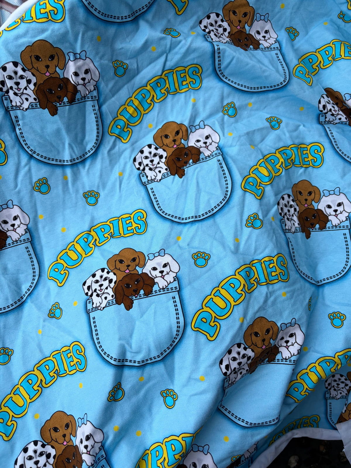 Slot- Puppy Pocket (Up To 11-12)