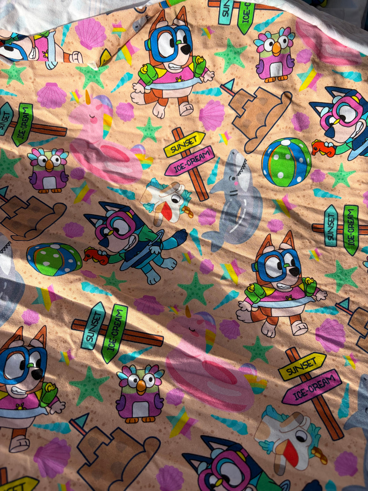 Slot- Summer Bluey (Up To 2/3)